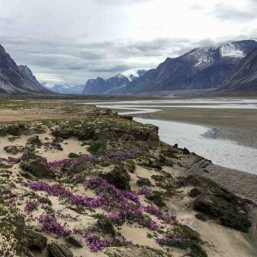 Hike Akshayuk Pass: Favourite Pics | Blog